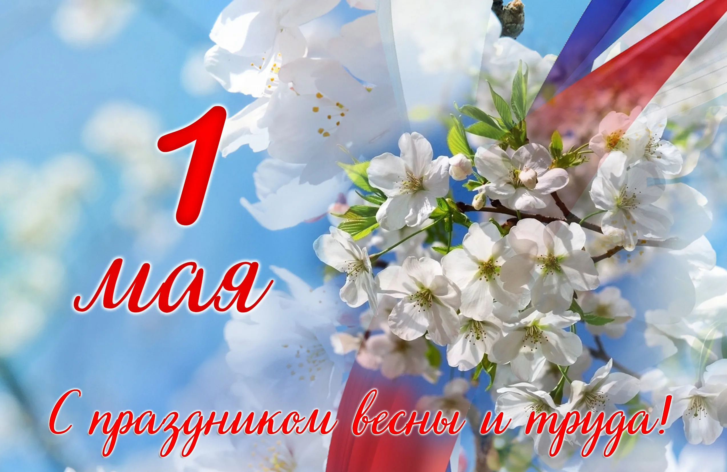 С наступающим 1 Мая! 